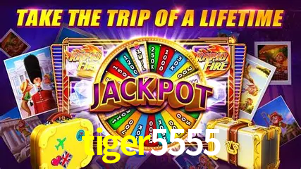 Jogos de mesa e apostas rápidas na tiger5555